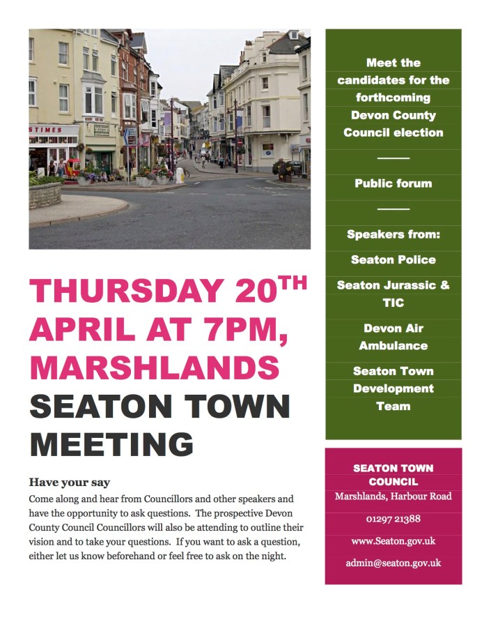 PDF Poster for town meeting