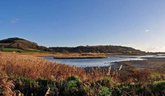 67550269_713882922382743_4171045755659747328_n