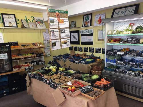 IMG_0338-e1505752047345